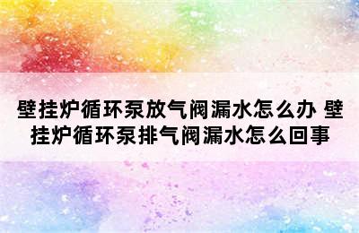 壁挂炉循环泵放气阀漏水怎么办 壁挂炉循环泵排气阀漏水怎么回事